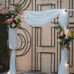 Phi-Phi ПХІ-ПХІ #9485