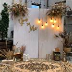 Phi-Phi ПХІ-ПХІ #9485