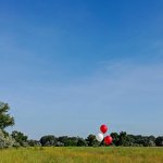 Евгений Панасюк #4017