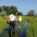 Евгений Панасюк #4017