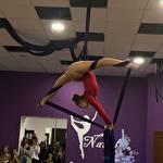 Гімнастичне шоу   #9722