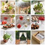 Chudodecor  Wedding Design #4535