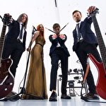 FAKE EMPIRE showband #7493