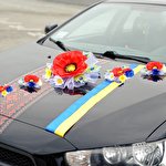 Руслан Ляшенко #3537