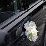 Руслан Ляшенко #3537