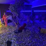 Аніматори Суми #10138