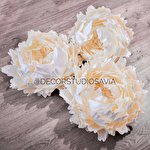 Decor studio SAVIA  #7967