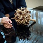 Анатолій Бойченко #3642