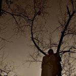 Олександр Цибульський #2345