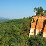 Олександр Цибульський #2345