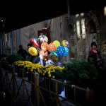 Олександр Цибульський #2345