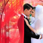 Елена Яровая #4795