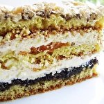 люба Пляцки #4877