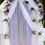 Надежда  #8691