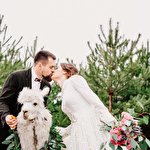 Анастасія Грицаєнко #3187