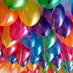 Киевские Шарики #6295