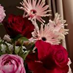 Студія декору і флористики 