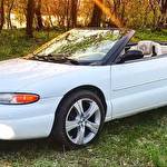 Ольга avtolimo #8839