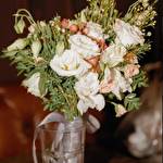 Анна  Ліма #9829