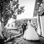 Васька Павленчук #311