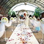 Ірина Храбан #1182