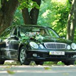 Саша Авто на весілля Вінниця #4636