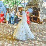 Світлана Чайка #7244