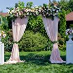 Мальви Мія #6791