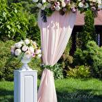 Мальви Мія #6791