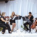 Організатор Жилкова Вікторія #8785