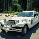 павло кузьміч #4714