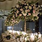 event agency  Юлии Борисовой #6730