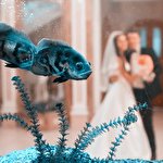 Петро Веретільник #2743