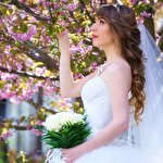 Олег MyDay media #3913