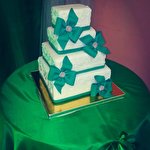 Наталія Кузьма #4920