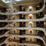 Віталій Вітлєо #1817