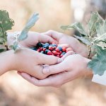 Николай Салейчук #1153