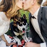 Роман Малишевський #893