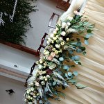 Анна Витребеньки #5487