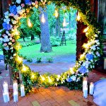 Анна Витребеньки #5487