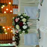 Анна Витребеньки #5487