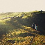 Вікторія Янушевич #1518