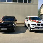 Шурик BMW X5 #5398