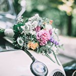 Annychka Shender-Blinova #5876