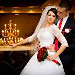 Алла Стрельчук #8677