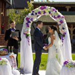 Николай Волков #247