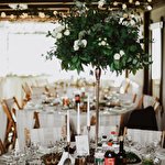 Арт Фуршет #8242