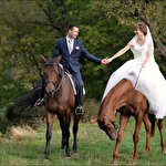 Юрий Усенко #704