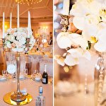 Твоє Весілля #435