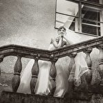 Василь Сорохтей #2901